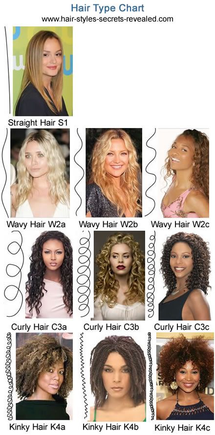 Curly Hair Type Curlacious India